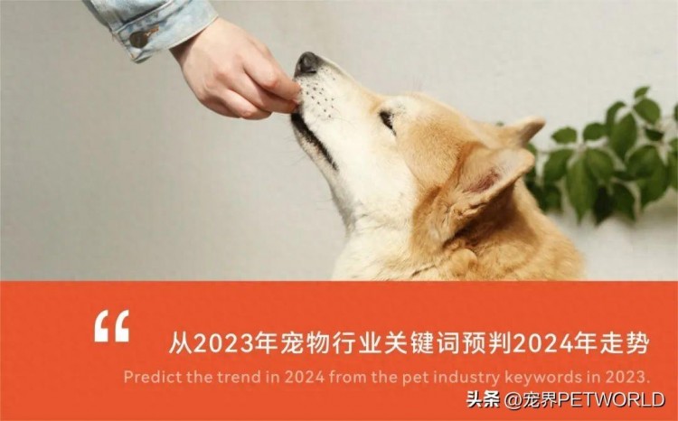 2023国内宠物行业年度关键词，必看！