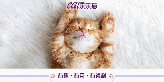 20岁老猫因不能控制大小便被抛弃，老年猫就不配拥有幸福吗？