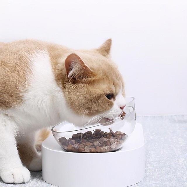 如何选择好的猫粮？什么牌子的猫粮好？