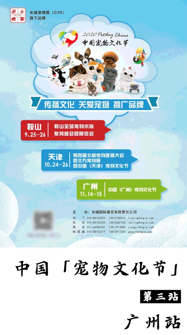 11月14日，2020广州超燃宠物展，带上猫咪狗狗一起来嗨